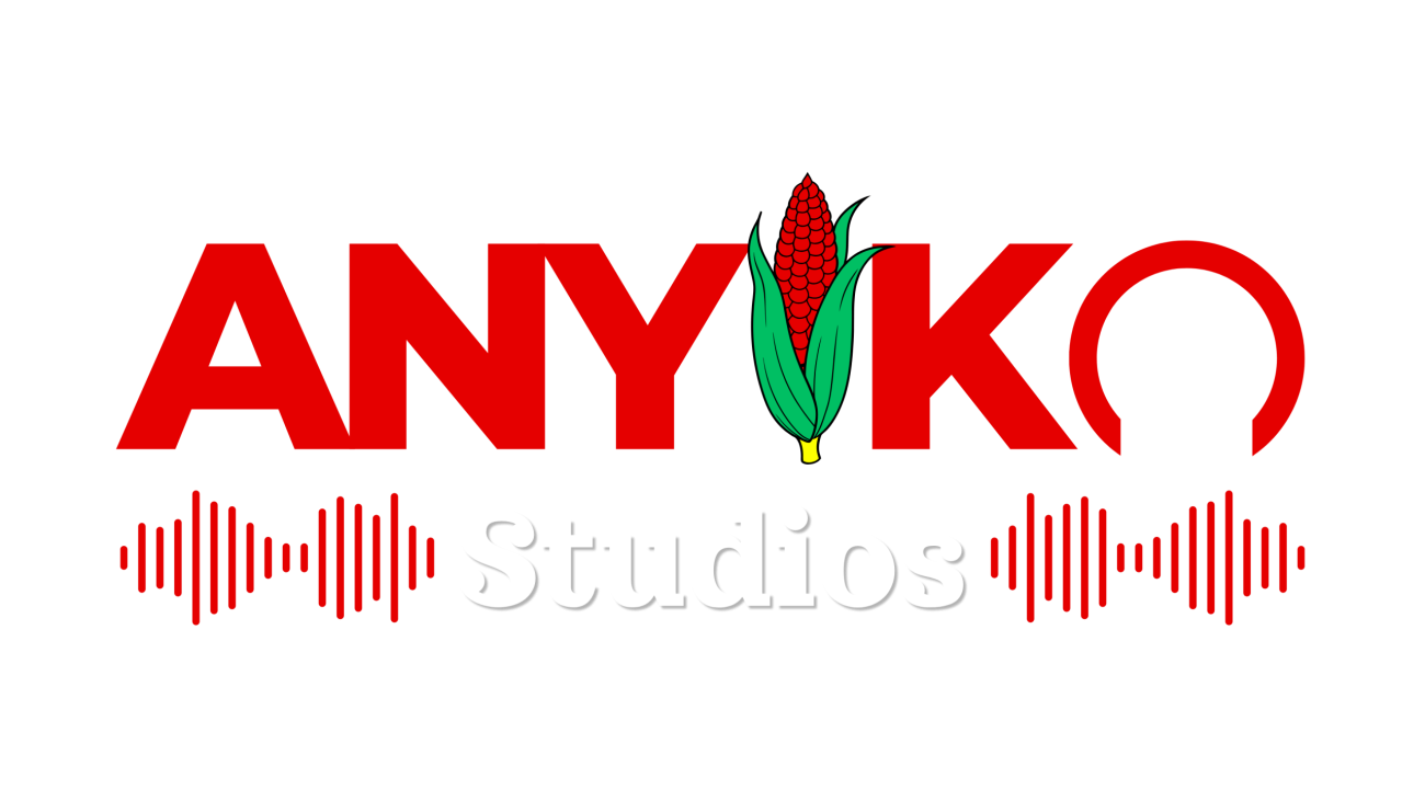 Anyiko Studios Logo