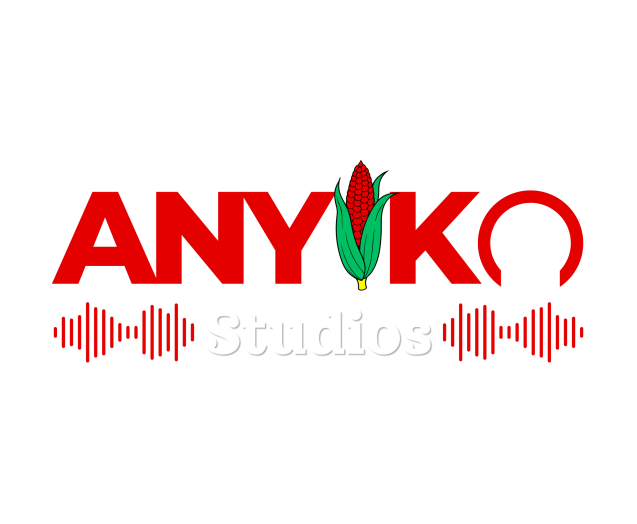 Anyiko Studios Logo